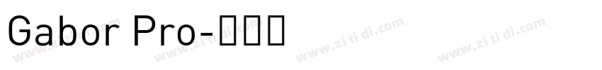 Gabor Pro字体转换